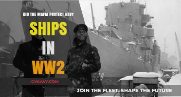 Mafia's Role in Safeguarding Navy Ships During World War II