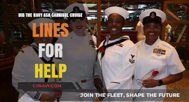 Did the Navy Request Assistance from Carnival Cruise Lines?