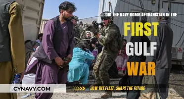 Did the Navy Bomb Afghanistan in the First Gulf War?