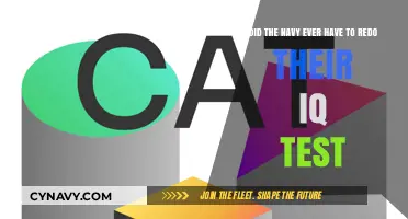 Revising Intelligence: The Navy's Evolving Approach to IQ Testing