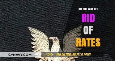 Navy's Shift: Eliminating Rates and Embracing New Classification System