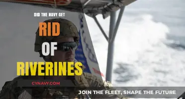 Navy's Riverine Squadrons: Disbanded or Still in Operation?
