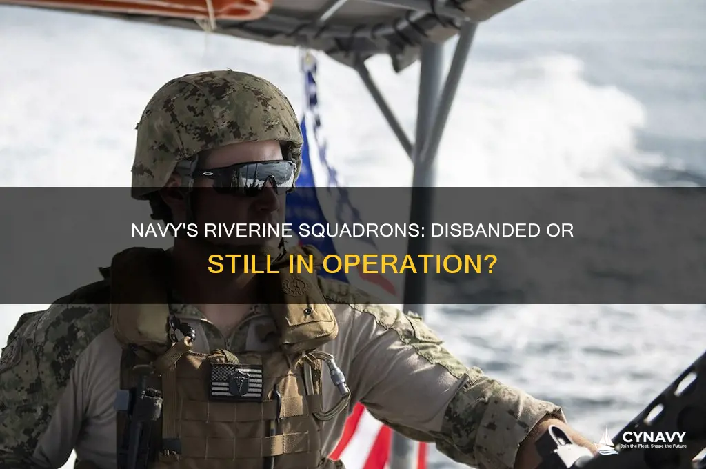 did the navy get rid of riverines