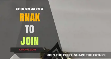 Decoding the E5 Rank: Navy's Strategic Move to Boost Enlistment?
