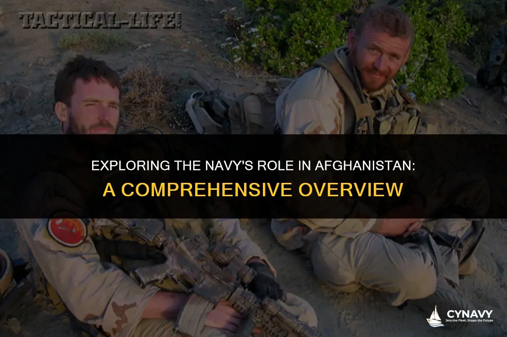 did the navy go to afghanistan
