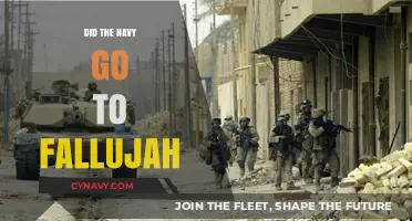 Decoding History: The Navy's Role in the Battle of Fallujah