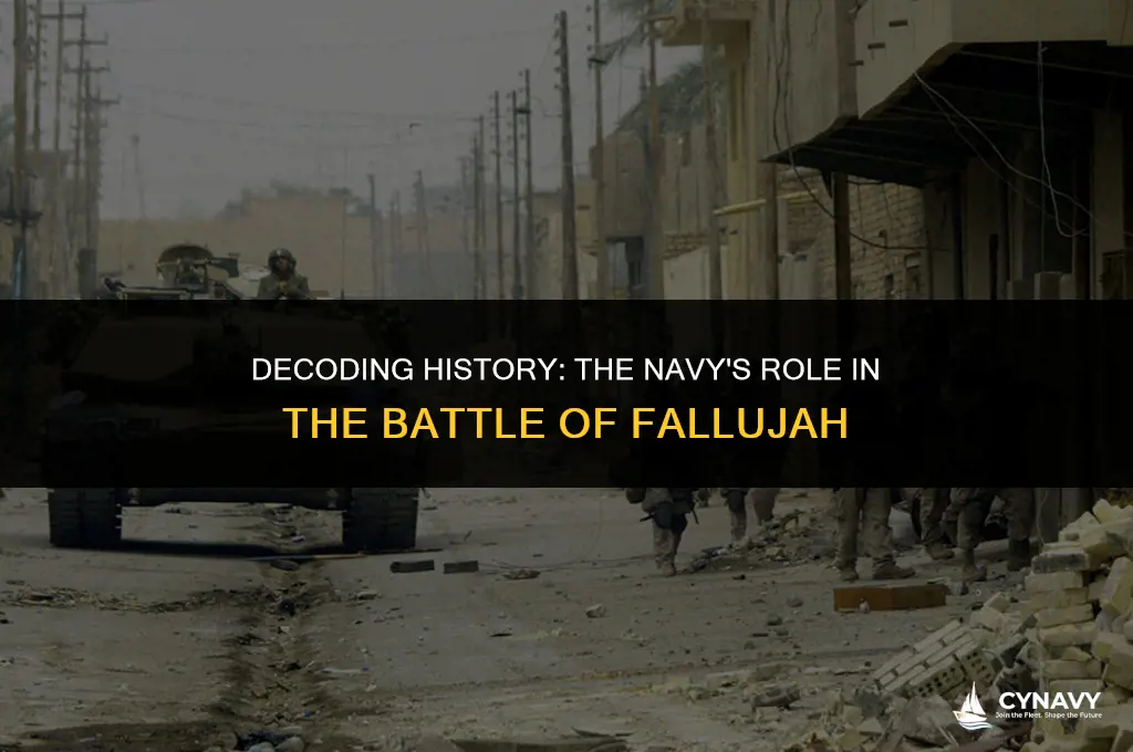 did the navy go to fallujah