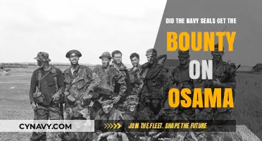 Navy SEALs' Role in Claiming Osama bin Laden's Bounty