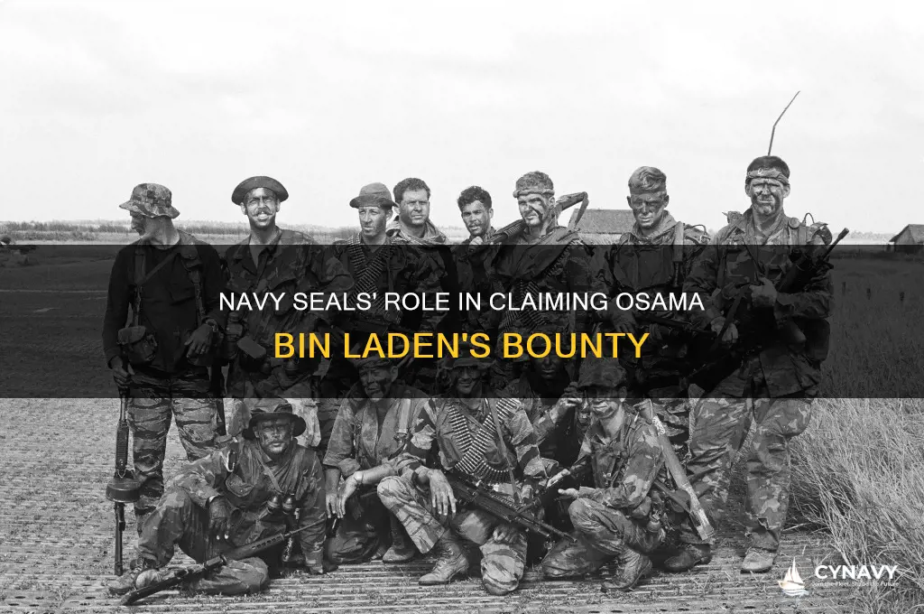 did the navy seals get the bounty on osama