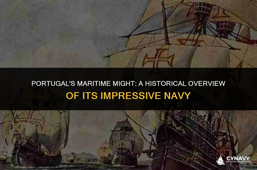 did the portugewse have a imoressive navy ap world history
