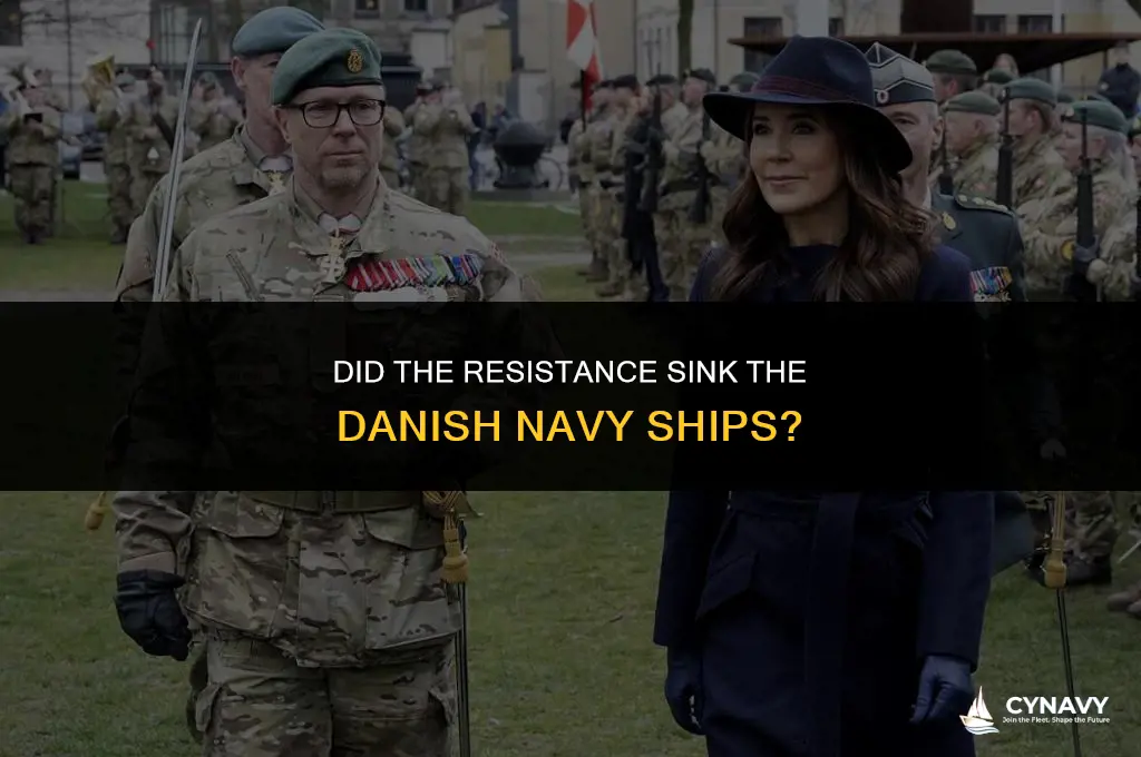 did the resistance sank the danish navy ships