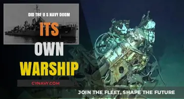 Did the U.S. Navy Doom Its Own Warship?