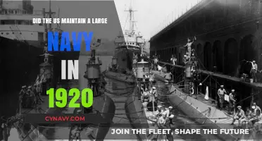 Did the US Maintain a Large Navy in 1920?