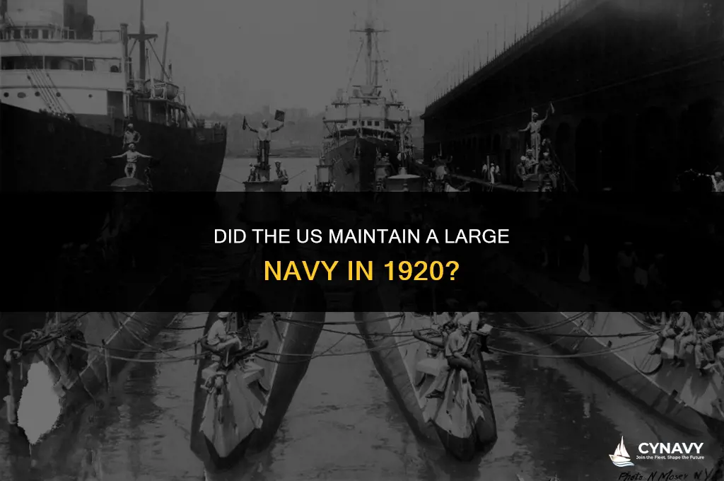 did the us maintain a large navy in 1920