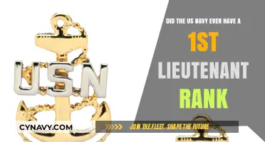 Exploring the Evolution of US Navy Ranks: The Case of the 1st Lieutenant