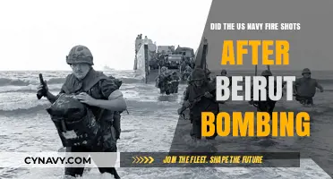 US Navy's Response to Beirut Bombing: Did They Fire Shots?