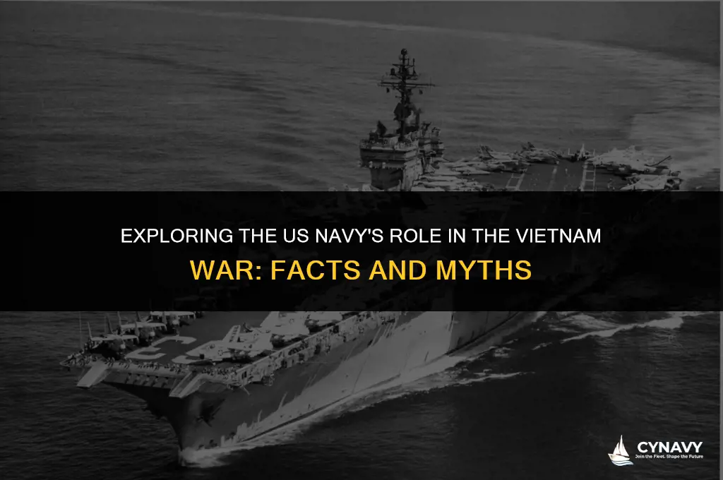 did the us navy have any actual involvement in vietnam