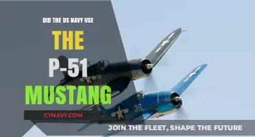 The Forgotten Role of the P-51 Mustang in the US Navy