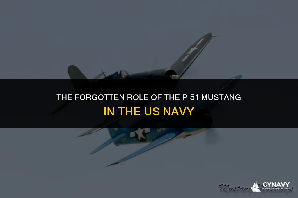 did the us navy use the p-51 mustang