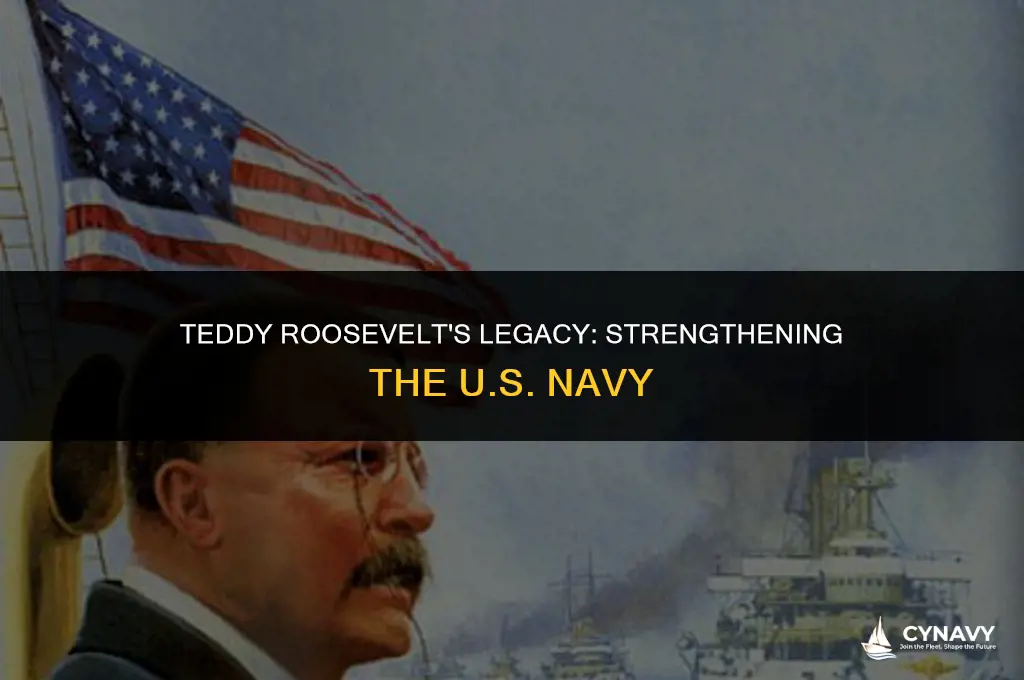 did theodore roosevelt