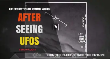 Unexplained Encounters: Navy Pilots and the UFO Conundrum