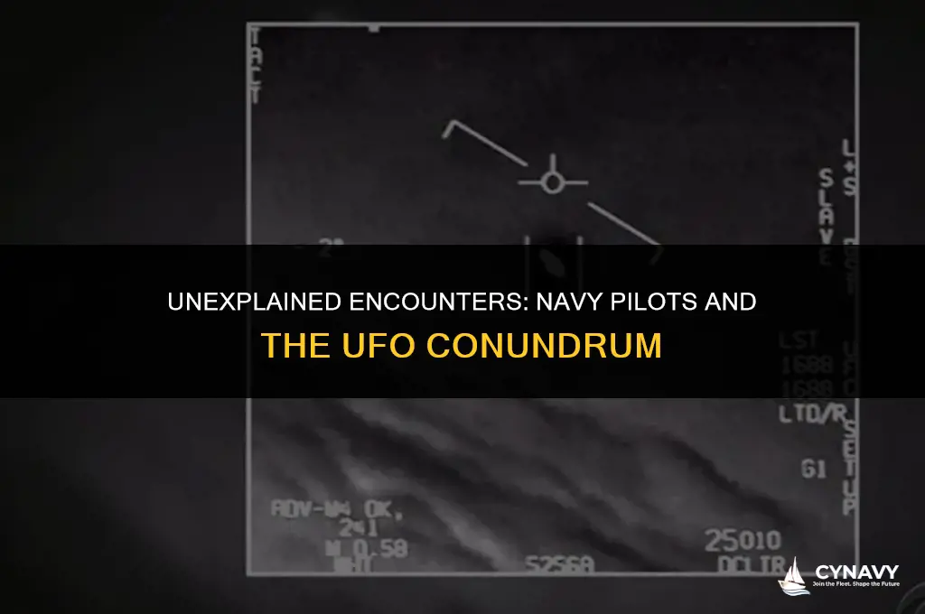 did two navy pilots commit suicide after seeing ufos