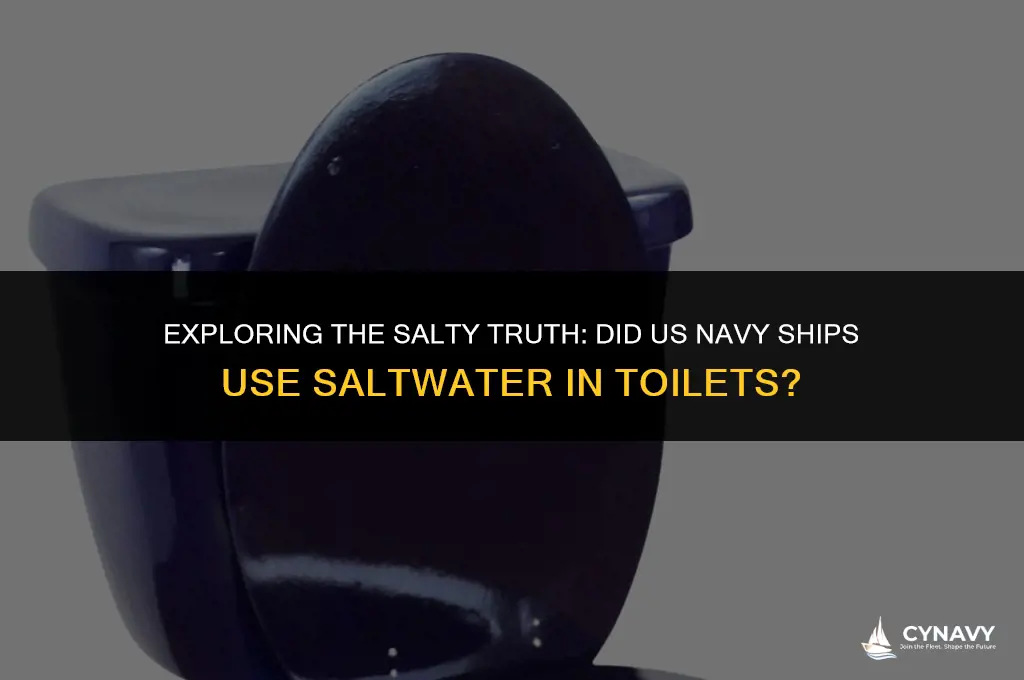 did us navy ships use salt water in toilets