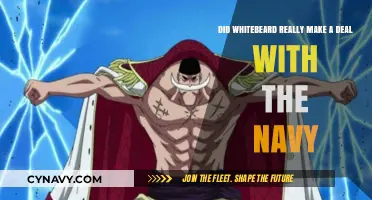 Unraveling the Myth: Whitebeard's Alleged Deal with the Navy