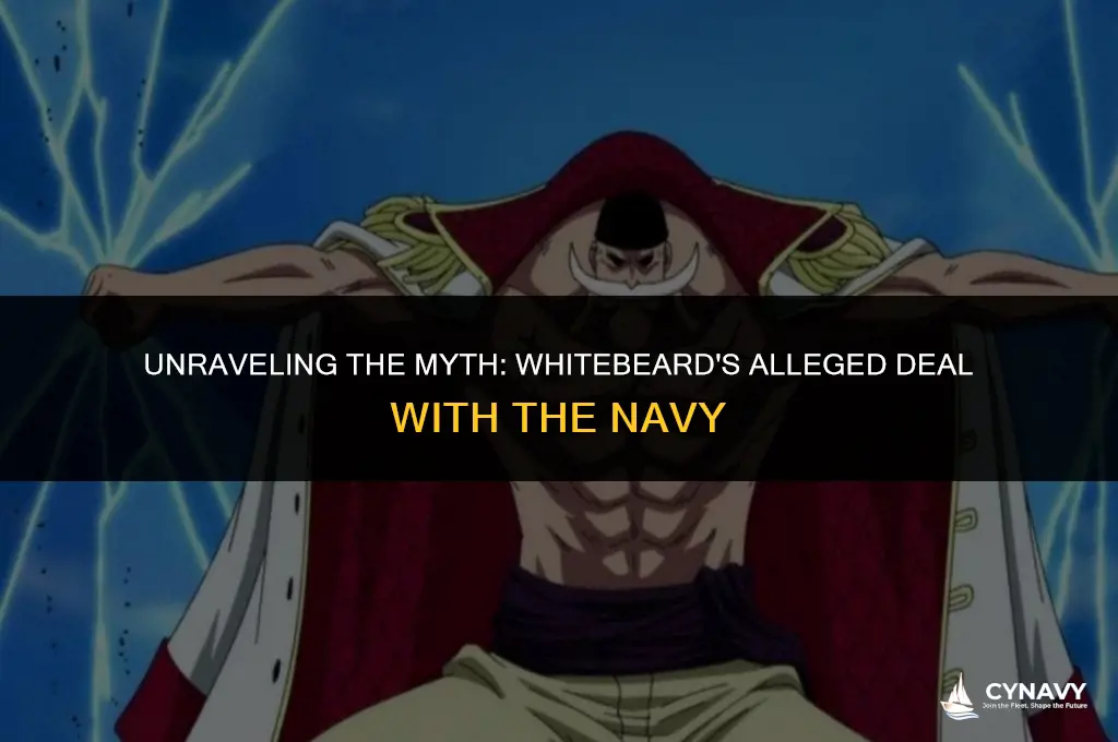 did whitebeard really make a deal with the navy
