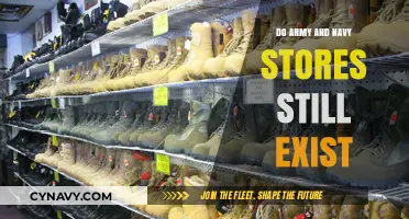 Exploring the Current Status of Army and Navy Stores Worldwide