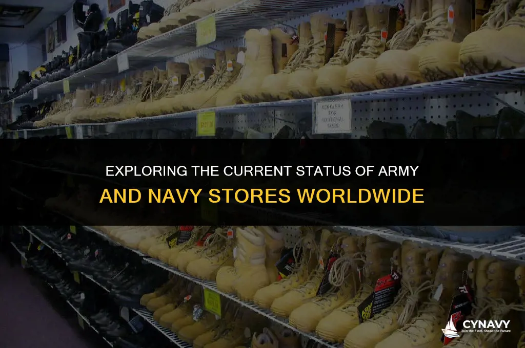 do army and navy stores still exist