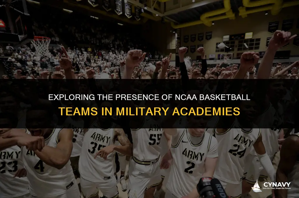 do army navy or airforce have ncaa basketball teams