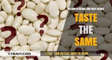 Exploring the Flavor Nuances: Baked Beans vs Navy Beans