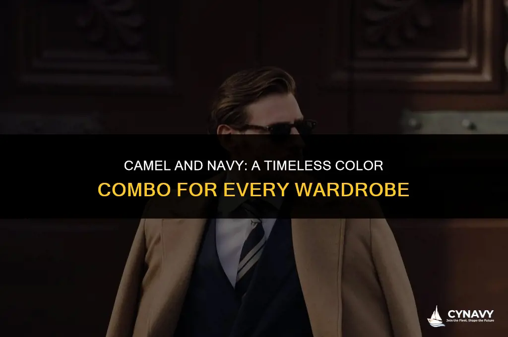 do camel and navy go together