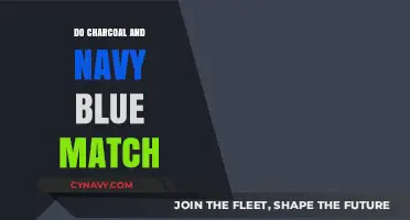 Do Charcoal and Navy Blue Match? A Comprehensive Color Guide