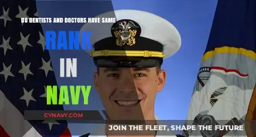Exploring the Hierarchical Structure: Dentists vs. Doctors in the Navy