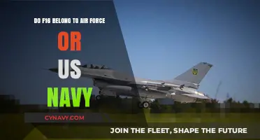 Decoding the F-16's Allegiance: Air Force vs. Navy