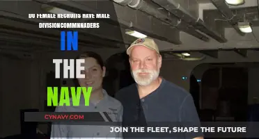 Examining Gender Dynamics: Female Recruits and Male Division Commanders in the Navy