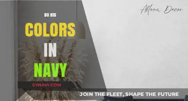Exploring the Depths of Navy: A Journey Through Color and Style