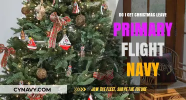 Christmas Leave for Navy Primary Flight Students: What to Expect