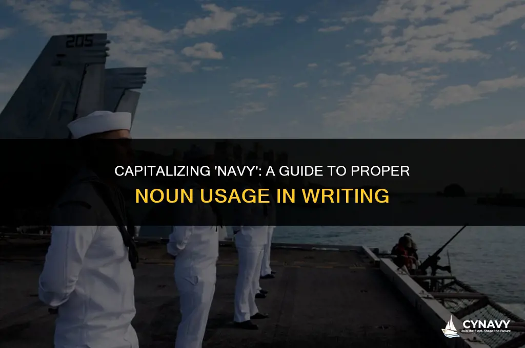 do i have to capitalize navy in a sentence