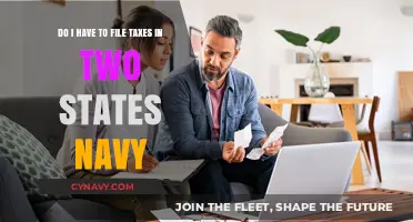 Navigating Dual State Tax Filing: A Guide for Navy Personnel