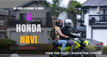 Do I Need a License to Drive a Honda Navi?