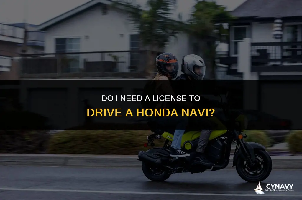 do i need a license to drive a honda navi