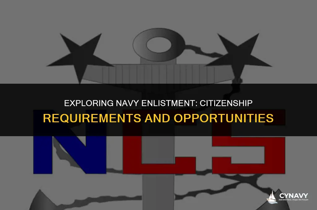 do i need us citizenship to enter us navy