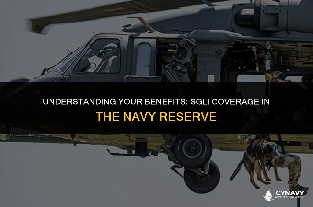 do i still have sgli in the navy reserve