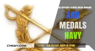 Do JAG Officers Always Wear Ribbons and Medals in the Navy?