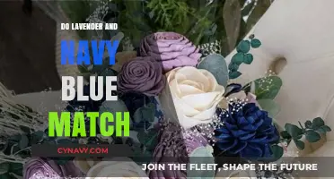 Harmonious Hues: Exploring the Lavender and Navy Blue Color Match