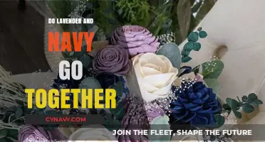 Harmonious Hues: Exploring the Elegant Pairing of Lavender and Navy