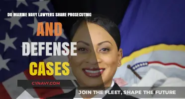 Do Marine Navy Lawyers Handle Both Prosecution and Defense Cases?